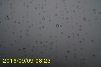 Img20160909_082315.jpg
