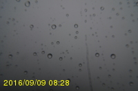 Img20160909_082815.jpg