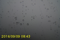 Img20160909_084315.jpg