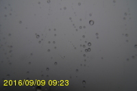 Img20160909_092315.jpg