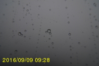 Img20160909_092815.jpg