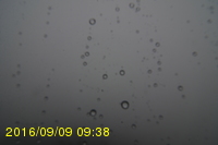Img20160909_093815.jpg