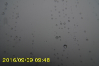 Img20160909_094815.jpg
