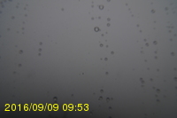 Img20160909_095321.jpg