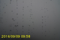 Img20160909_095819.jpg
