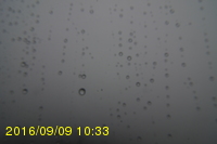 Img20160909_103319.jpg