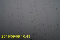 Img20160909_104319.jpg