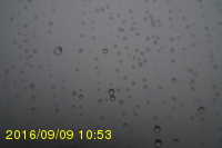 Img20160909_105319.jpg