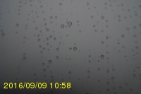 Img20160909_105819.jpg