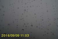 Img20160909_110319.jpg