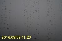 Img20160909_112319.jpg