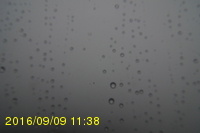 Img20160909_113819.jpg