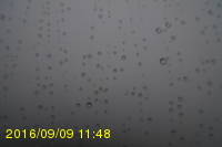 Img20160909_114819.jpg