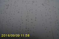 Img20160909_115819.jpg