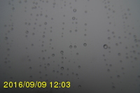 Img20160909_120319.jpg