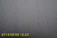 Img20160909_122319.jpg
