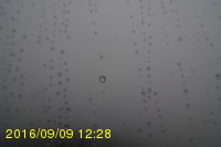 Img20160909_122819.jpg