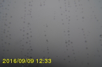 Img20160909_123319.jpg