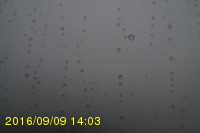 Img20160909_140319.jpg