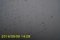 Img20160909_142819.jpg