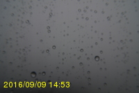 Img20160909_145319.jpg