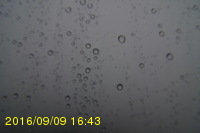 Img20160909_164319.jpg