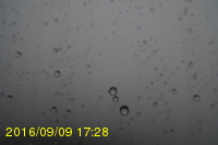 Img20160909_172819.jpg