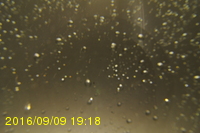 Img20160909_191820.jpg