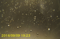 Img20160909_192320.jpg