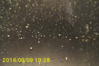 Img20160909_192821.jpg