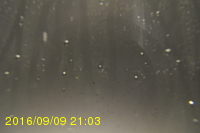 Img20160909_210321.jpg