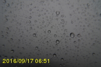 Img20160917_065142.jpg