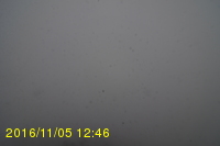 Img20161105_124603.jpg