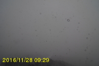Img20161128_092947.jpg