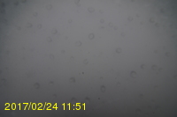 Img20170224_115106.jpg