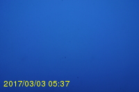 Img20170303_053712.jpg