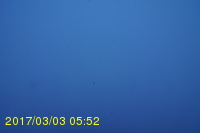 Img20170303_055212.jpg