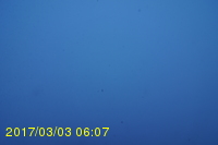Img20170303_060712.jpg