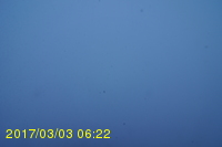 Img20170303_062212.jpg