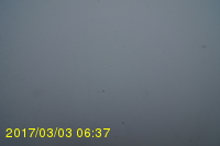 Img20170303_063712.jpg