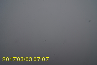 Img20170303_070712.jpg