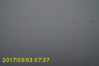 Img20170303_073712.jpg