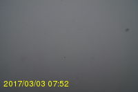 Img20170303_075212.jpg