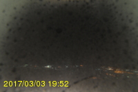 Img20170303_195238.jpg