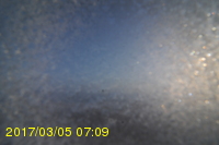 Img20170305_070956.jpg