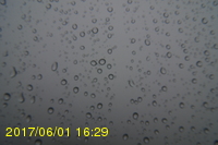 Img20170601_162945.jpg