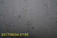Img20170604_075555.jpg