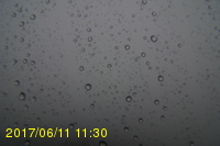 Img20170611_113055.jpg