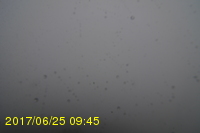 Img20170625_094535.jpg