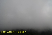 Img20170801_085725.jpg